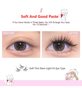 Flortte x Mikko: False Eyelashes (5 types 242 pieces)